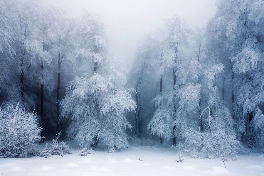 晨间天气丨中心城区阴天 6℃左右